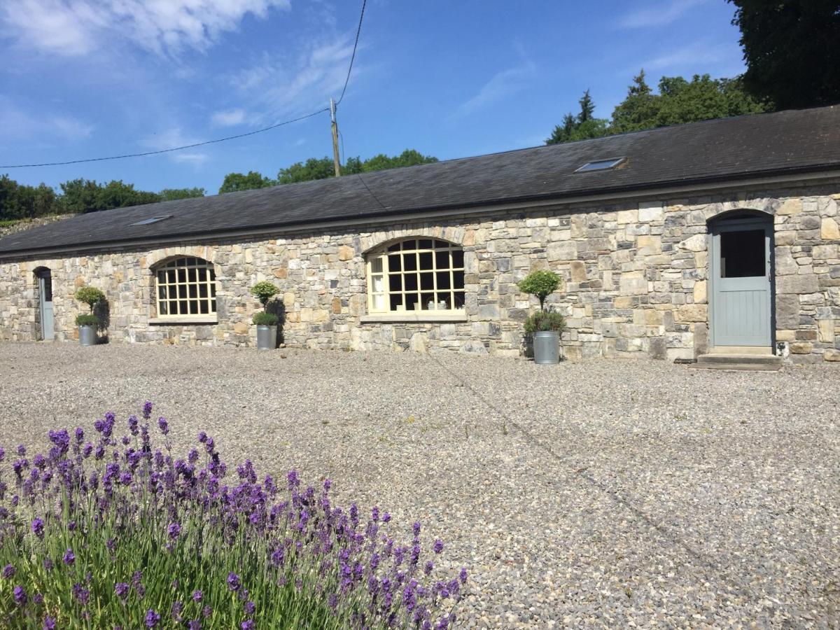 Clonalis House - Guesthouse Castlerea Екстериор снимка